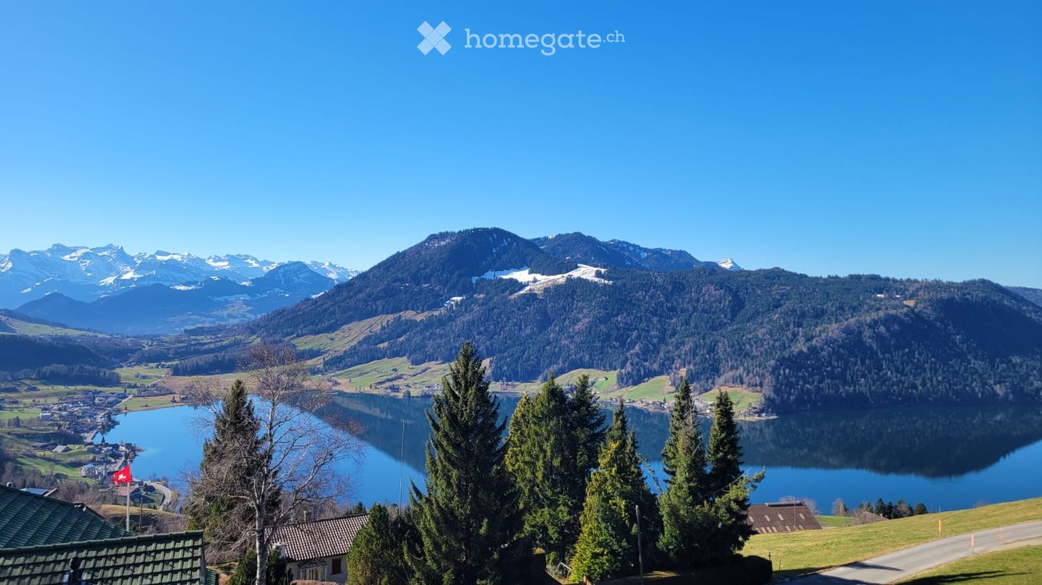 Panoramic view of a serene lake surrounded by lush green trees and snow-capped mountains under a clear blue sky.