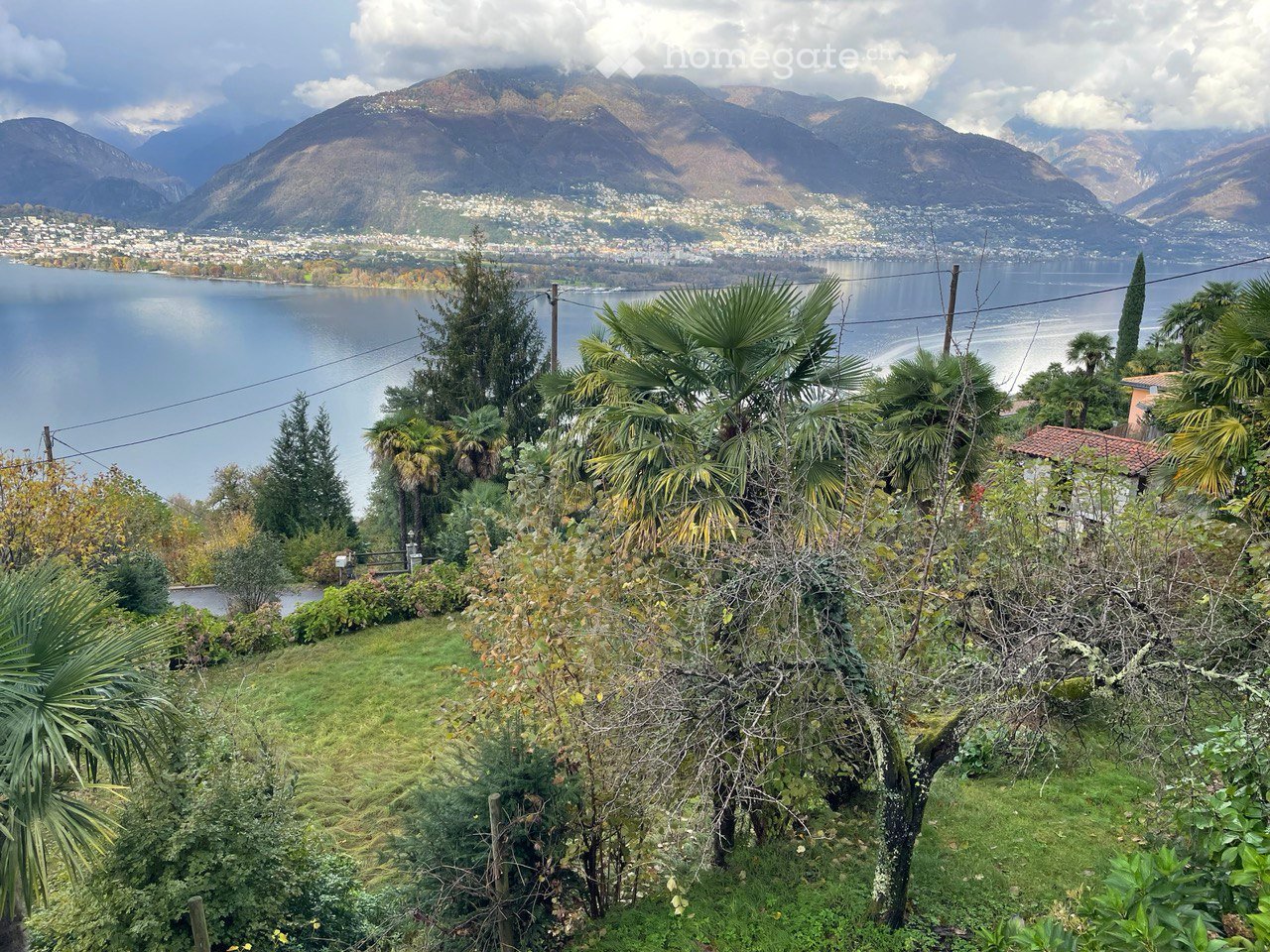 Garden with palm trees and shrubs overlooking a lake and distant mountains.
