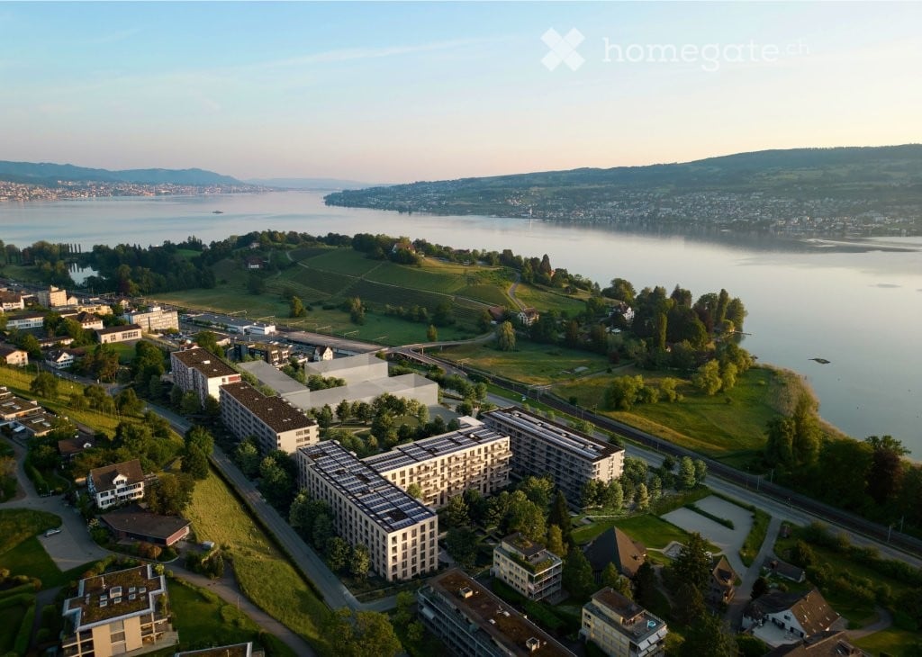 Aerial view of a residential area near a lake, featuring modern apartment buildings, houses, and green spaces.