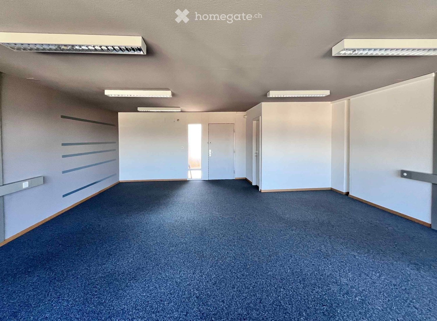Empty room with blue carpeted floor, white walls, and several doors leading to other spaces. The room has built-in storage units on one wall and fluorescent lighting fixtures on the ceiling.