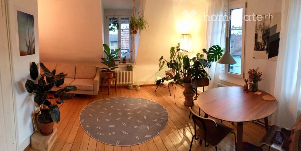A cozy living room with wooden flooring, a grey sofa, a round wooden table with chairs, several potted plants, a floor lamp, and a radiator near the window.