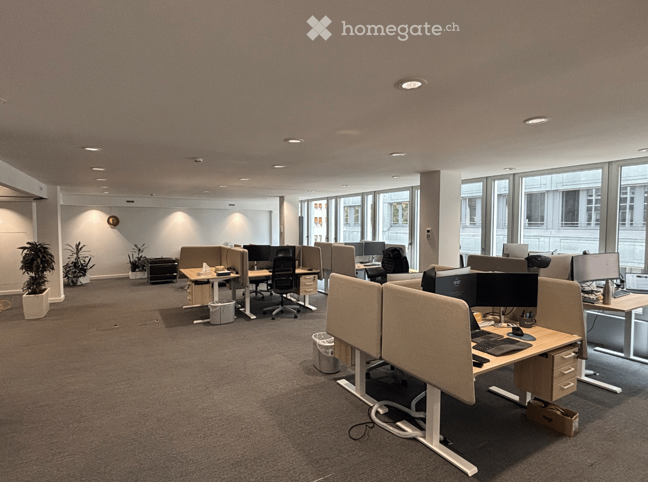 Modern office space with desks, chairs, multiple computer screens, laptops, and potted plants. Large windows provide natural light, and the room features a carpeted floor and recessed ceiling lighting.