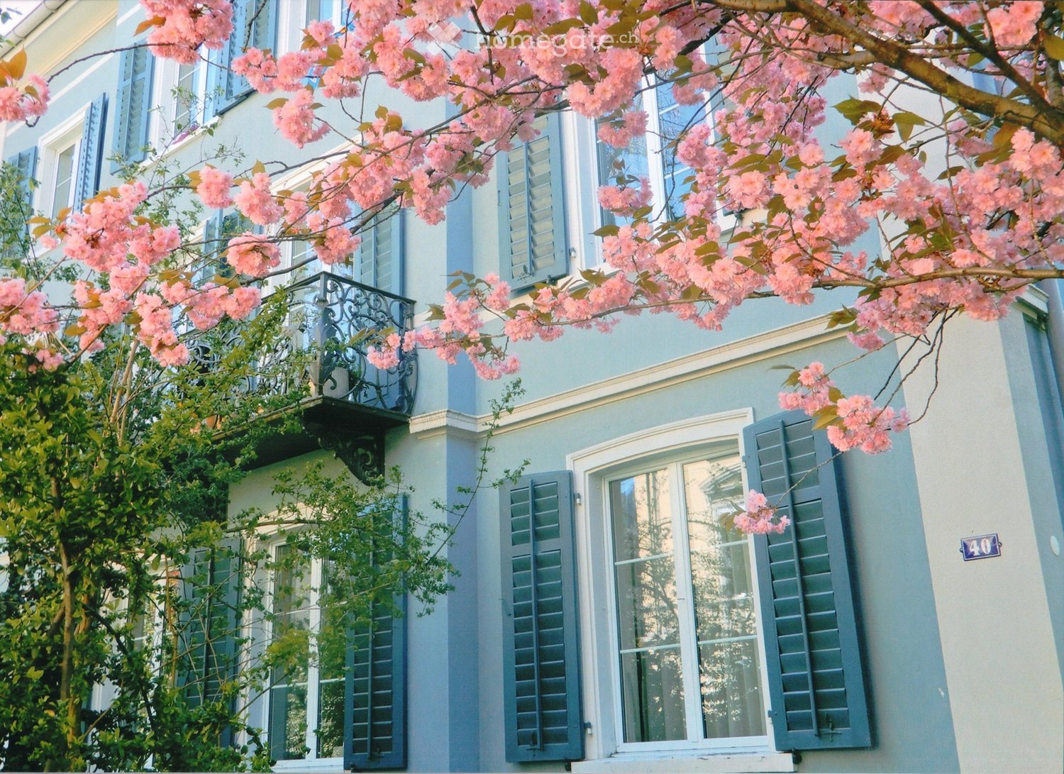 Two-story light blue building with white trim, multiple windows with dark shutters, and a small balcony adorned with pink flowering trees.