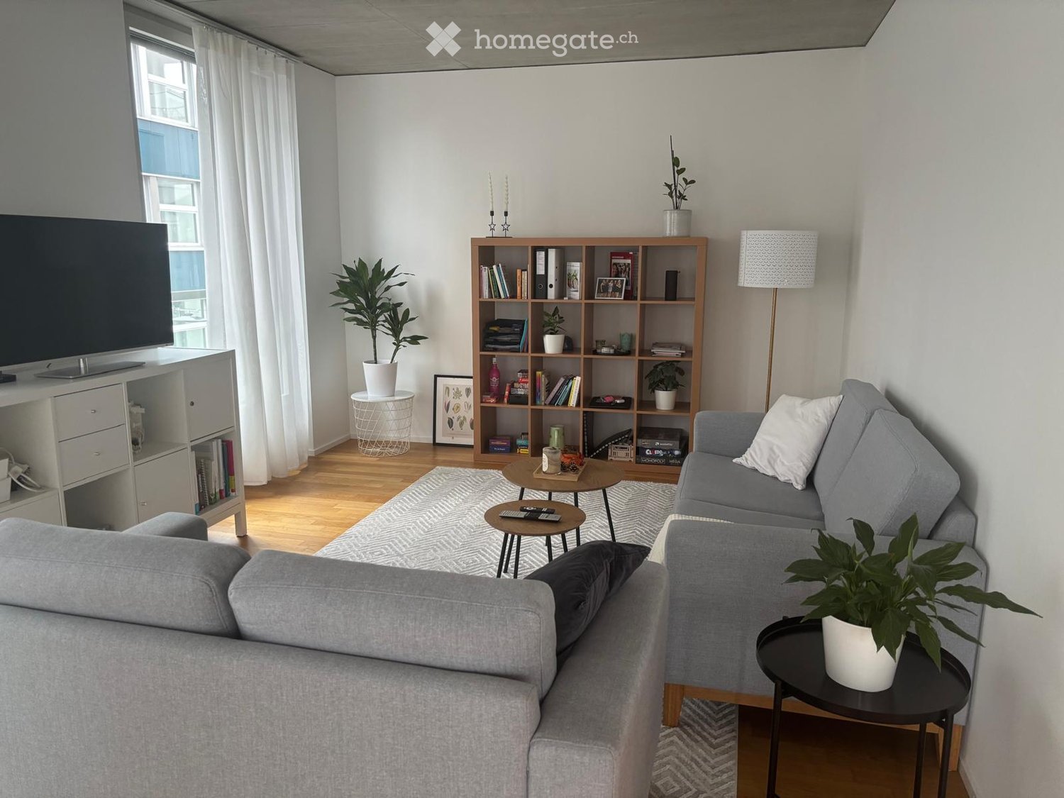Modern living room with grey sectional sofa, coffee table, bookshelf, and potted plants. Features a large window with white curtains and a television on a white stand.