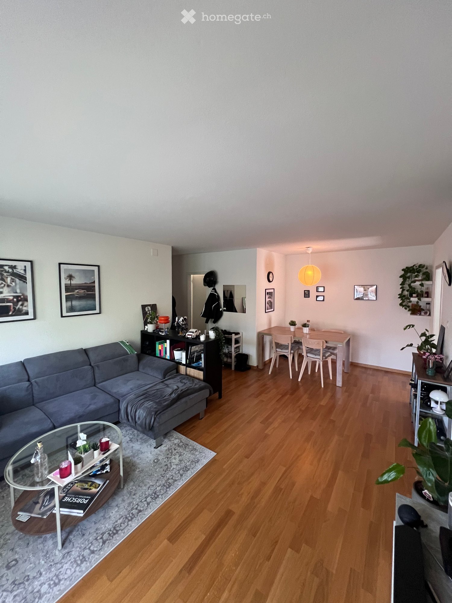 Open-plan living and dining area with wooden flooring, grey sofa, glass coffee table, bookshelf, dining table with chairs, pendant light, and several decorative items including framed pictures and plants.