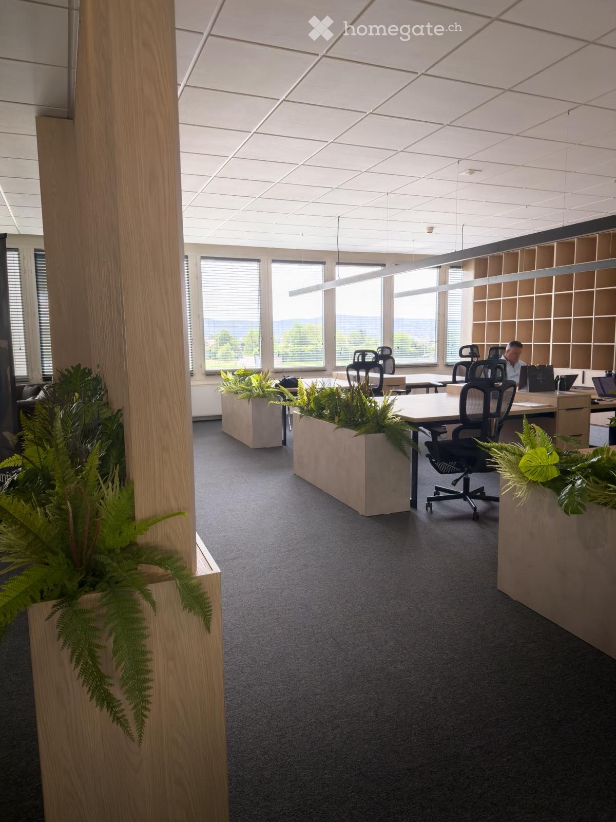 Modern office space with large windows, grey carpet, desks, chairs, and plants in planters.