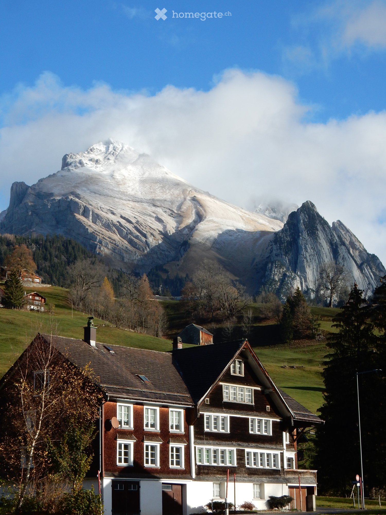 Two-story house with brown and white exterior, multiple windows, and a chimney, situated in a green landscape with snow-capped mountains in the background.
