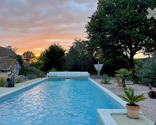 A serene outdoor swimming pool surrounded by lush greenery and potted plants, with a tranquil sunset sky in the background.