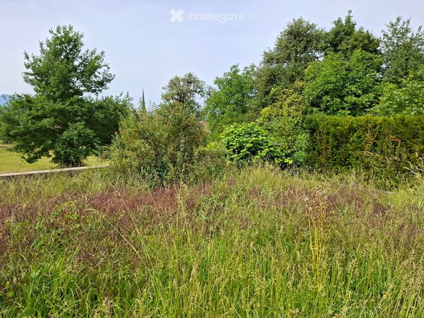 Charmantes 6.5-Zimmer-Doppeleinfamilienhaus in ruhiger Lage von Mettmenstetten 19