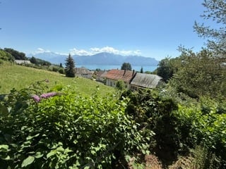 A lush garden with vibrant flowers and shrubs, leading to a charming house with a view of a serene lake and distant mountains.