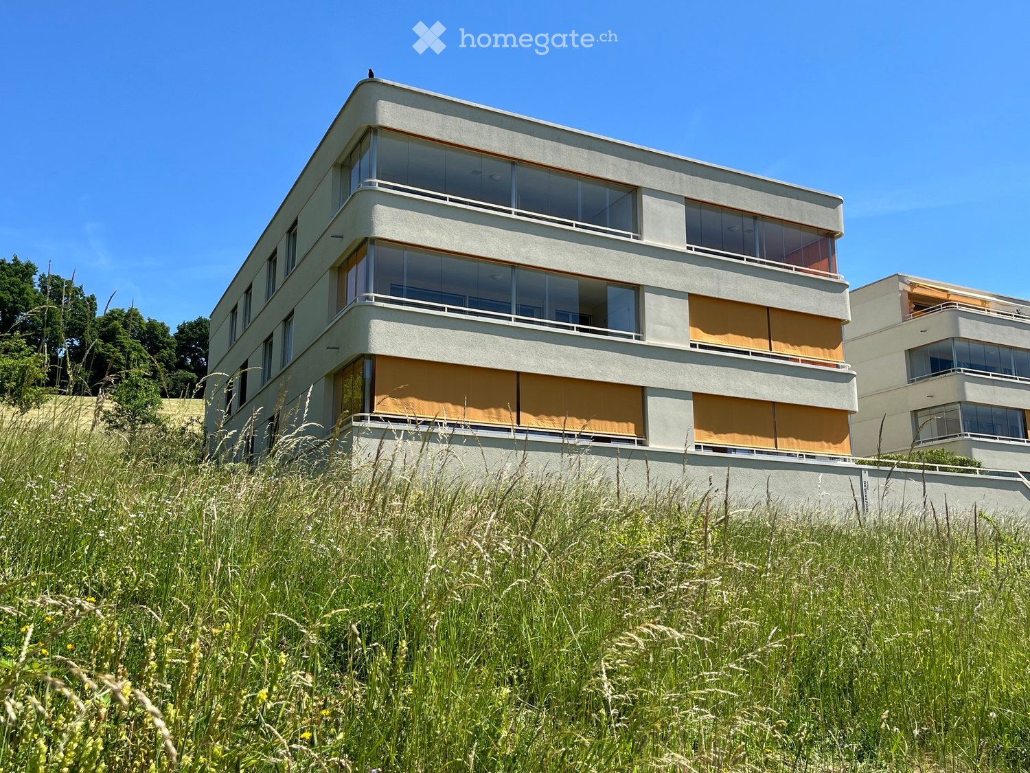 Modern two-story building with large windows and balconies, surrounded by tall grass and trees.
