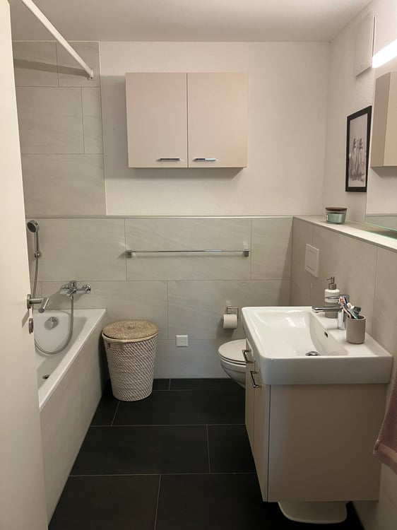 Moderne 4.5-Zimmer-Wohnung mit privatem Garten in Unterwindisch – Bezug ab 1. August 2026 10