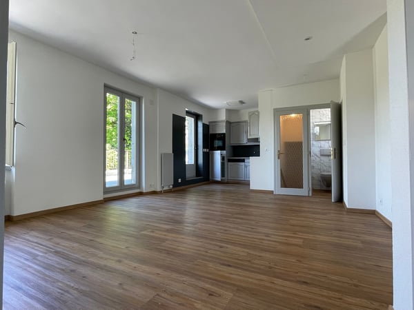 2 pièces avec grande terrasse à deux pas du lac 2