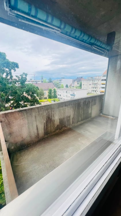 Charmante 1-Zimmer-Wohnung mit Balkon und schöner Aussicht in Basel 5