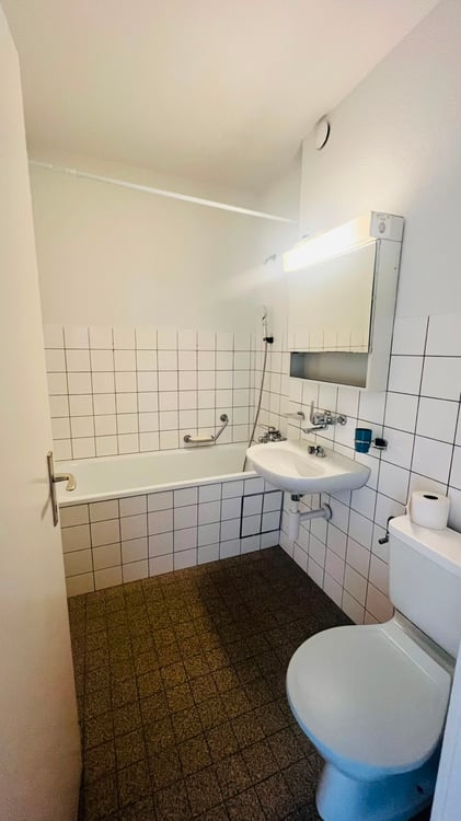 Charmante 1-Zimmer-Wohnung mit Balkon und schöner Aussicht in Basel 3