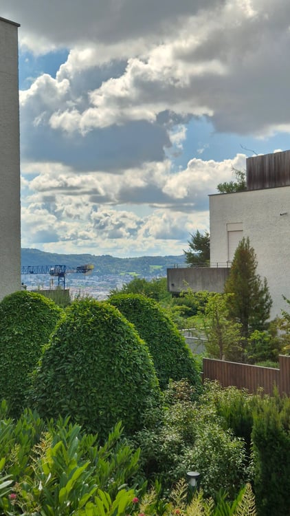 2 Zimmerwohnung mit Schwimmbad- und Saunazugang an Toplage in Zürich 13