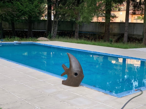 Genève a 50 min maison de caractère de 9 pièces à Nantua avec piscine et grand jardin 4