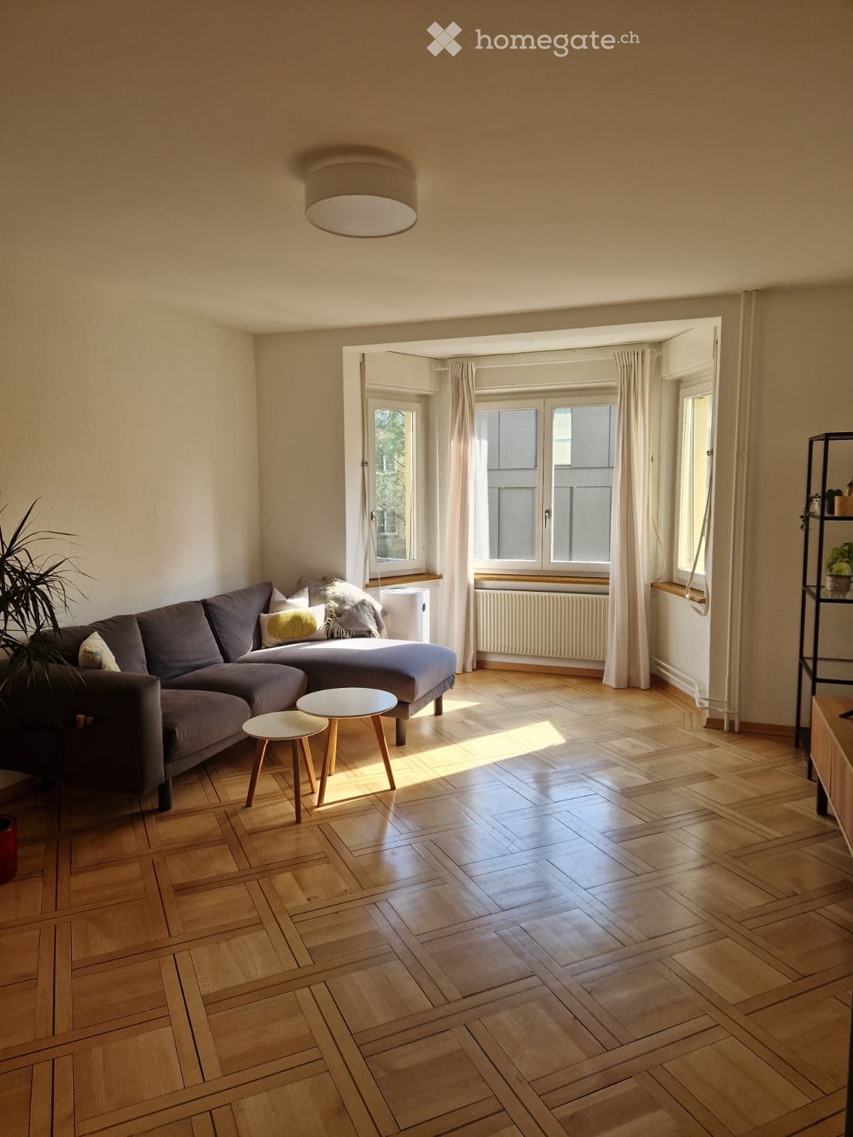 Bright living room with wooden flooring, large windows, a grey sectional sofa, two small round tables, a potted plant, and a shelf with decorative items.
