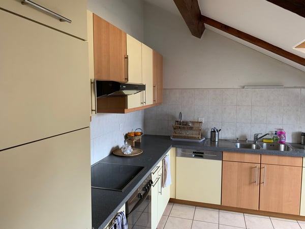 MAGNIFIQUE APPARTEMENT AVE CHARPENTE BOIS APPARENTE;  5.5 P. NON MEUBLE, CHEMINEE, JARDIN COMMUN 8