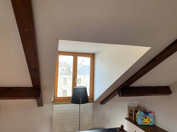 MAGNIFIQUE APPARTEMENT AVE CHARPENTE BOIS APPARENTE;  5.5 P. NON MEUBLE, CHEMINEE, JARDIN COMMUN 6
