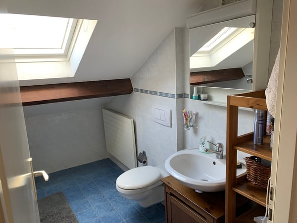 MAGNIFIQUE APPARTEMENT AVE CHARPENTE BOIS APPARENTE;  5.5 P. NON MEUBLE, CHEMINEE, JARDIN COMMUN 14