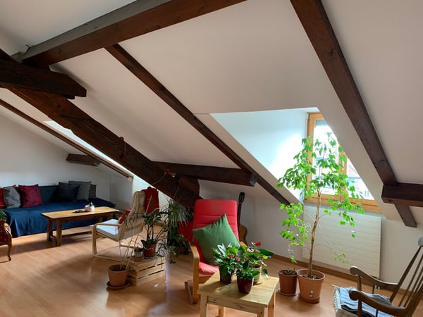 MAGNIFIQUE APPARTEMENT AVE CHARPENTE BOIS APPARENTE;  5.5 P. NON MEUBLE, CHEMINEE, JARDIN COMMUN 9