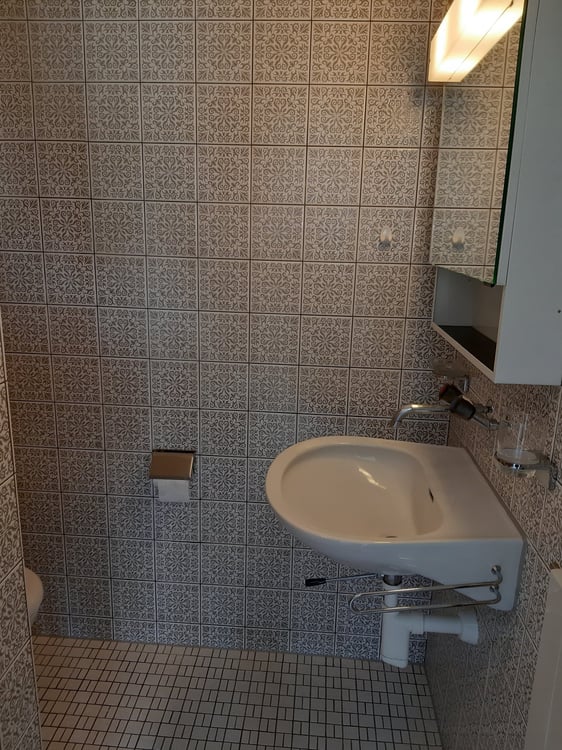 Einliegerwohnung in Rickenbach LU 4