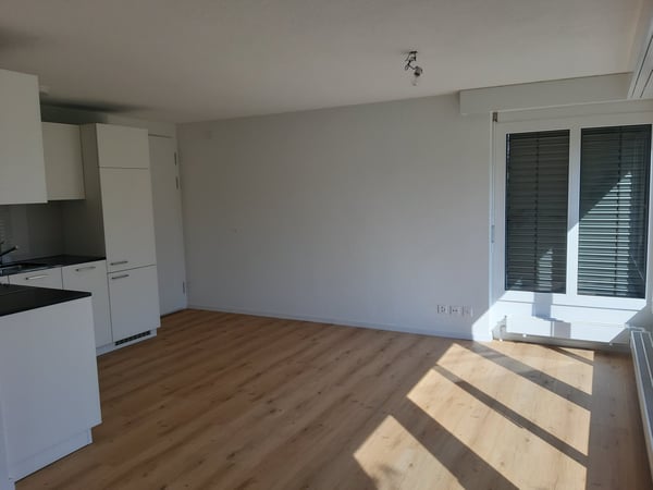 Einliegerwohnung in Rickenbach LU 2
