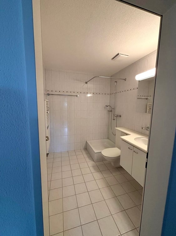Grosszügige Dachwohnung in Zollikon 3