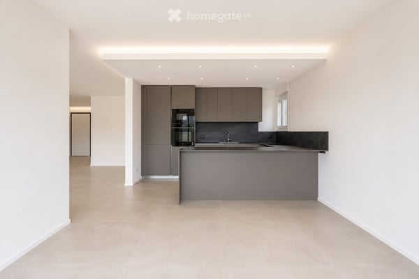 Affittasi appartamento di 4.5 locali con giardino privato e spettacolare vista lago a Massagno 4