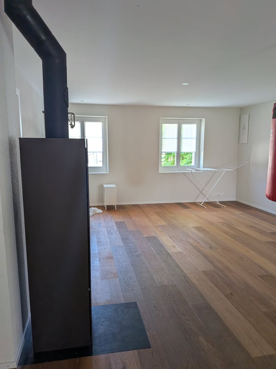 Grosse offene neue Wohnung in Rheinau 3