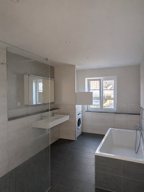 Grosse offene neue Wohnung in Rheinau 2