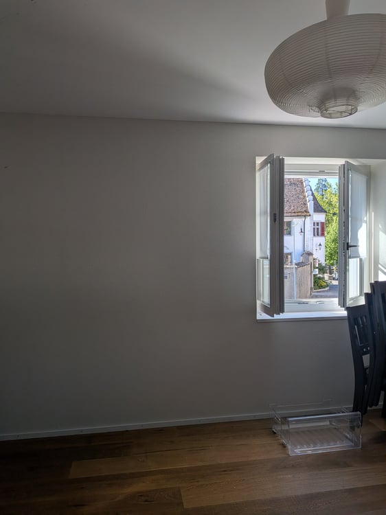 Grosse offene neue Wohnung in Rheinau 5