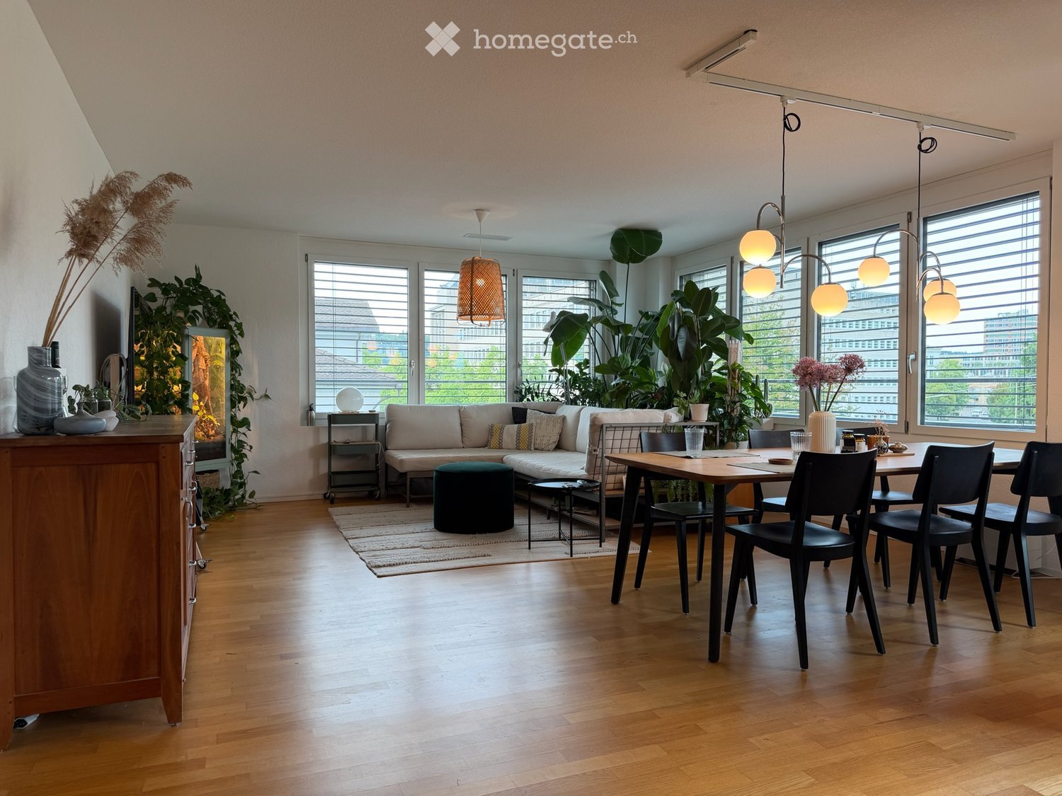 Modern living and dining area with wooden flooring, large windows, a sofa with cushions, a round ottoman, a coffee table, a dining table with chairs, and decorative plants and vases.
