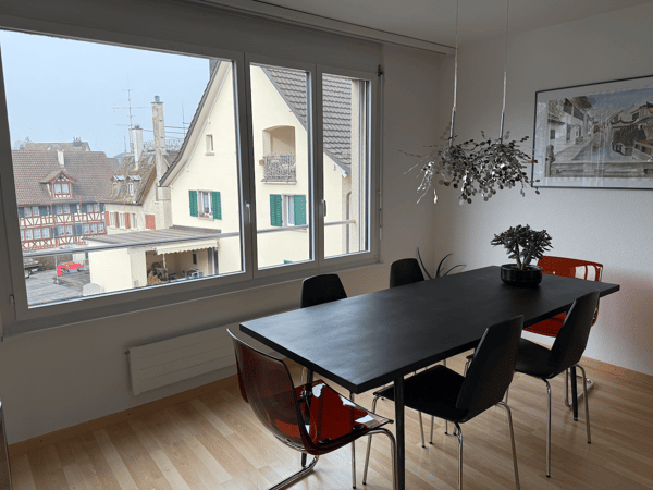 Helle und ideal gelegene 2.5-Zimmerwohnung in der Nähe vom Bahnhof Wädenswil 5
