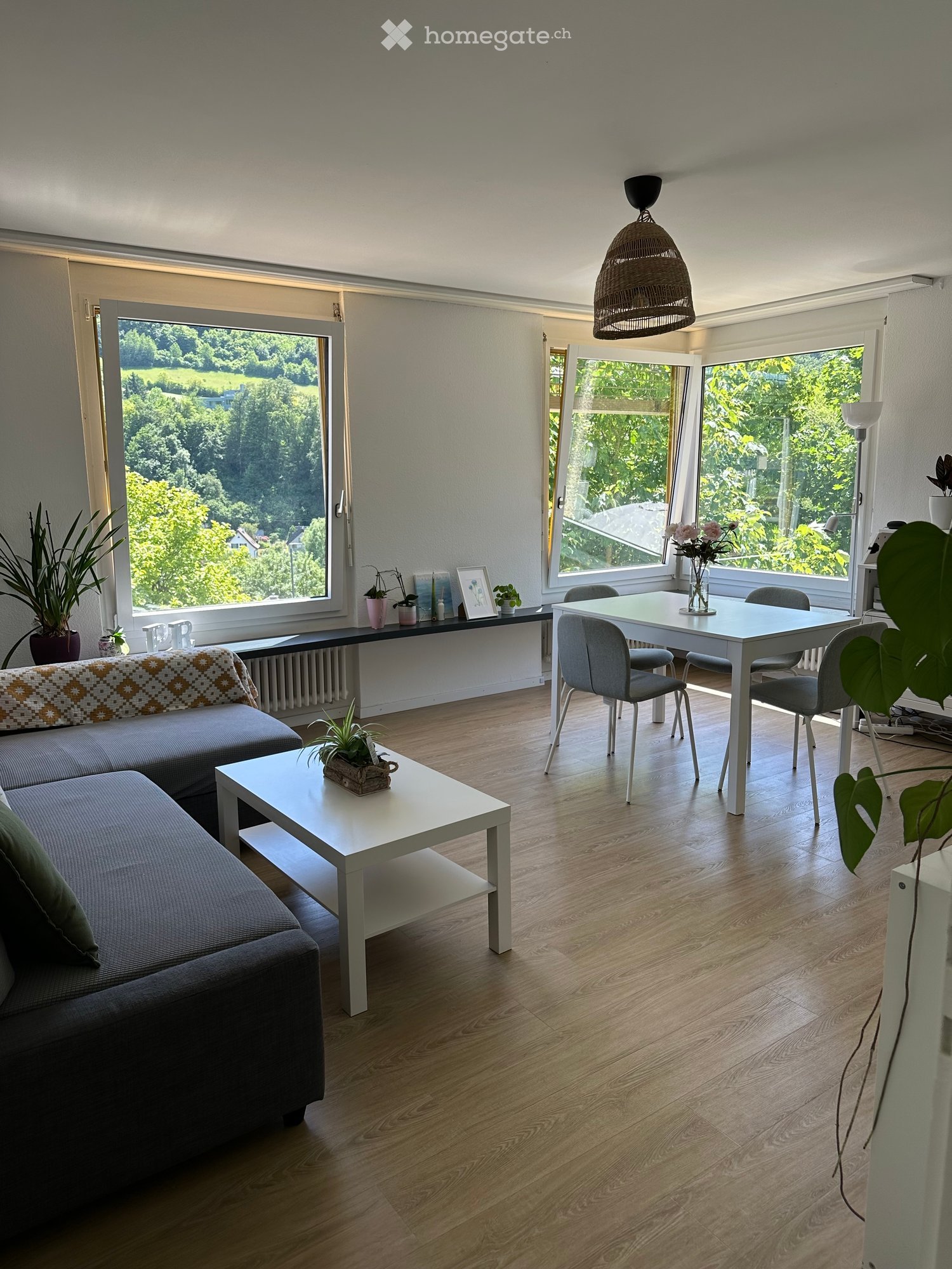 Bright living and dining area with wooden flooring, large windows, a grey sofa, coffee table, dining table with chairs, and decorative plants.