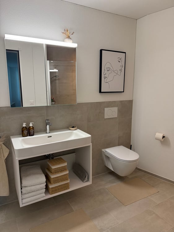 Moderne 4.5-Zimmer-Neubauwohnung im Erdgeschoss in Othmarsingen 7