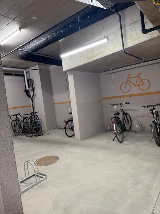 Moderne 4.5-Zimmer-Neubauwohnung im Erdgeschoss in Othmarsingen 11