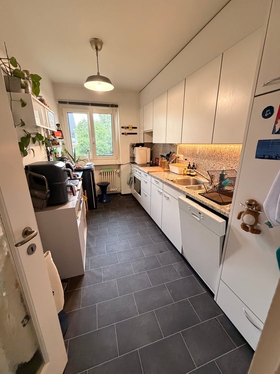 Gemütliche 3.5-Zimmer-Wohnung mit Balkon an der Carl-Spitteler-Strasse in Zürich 3