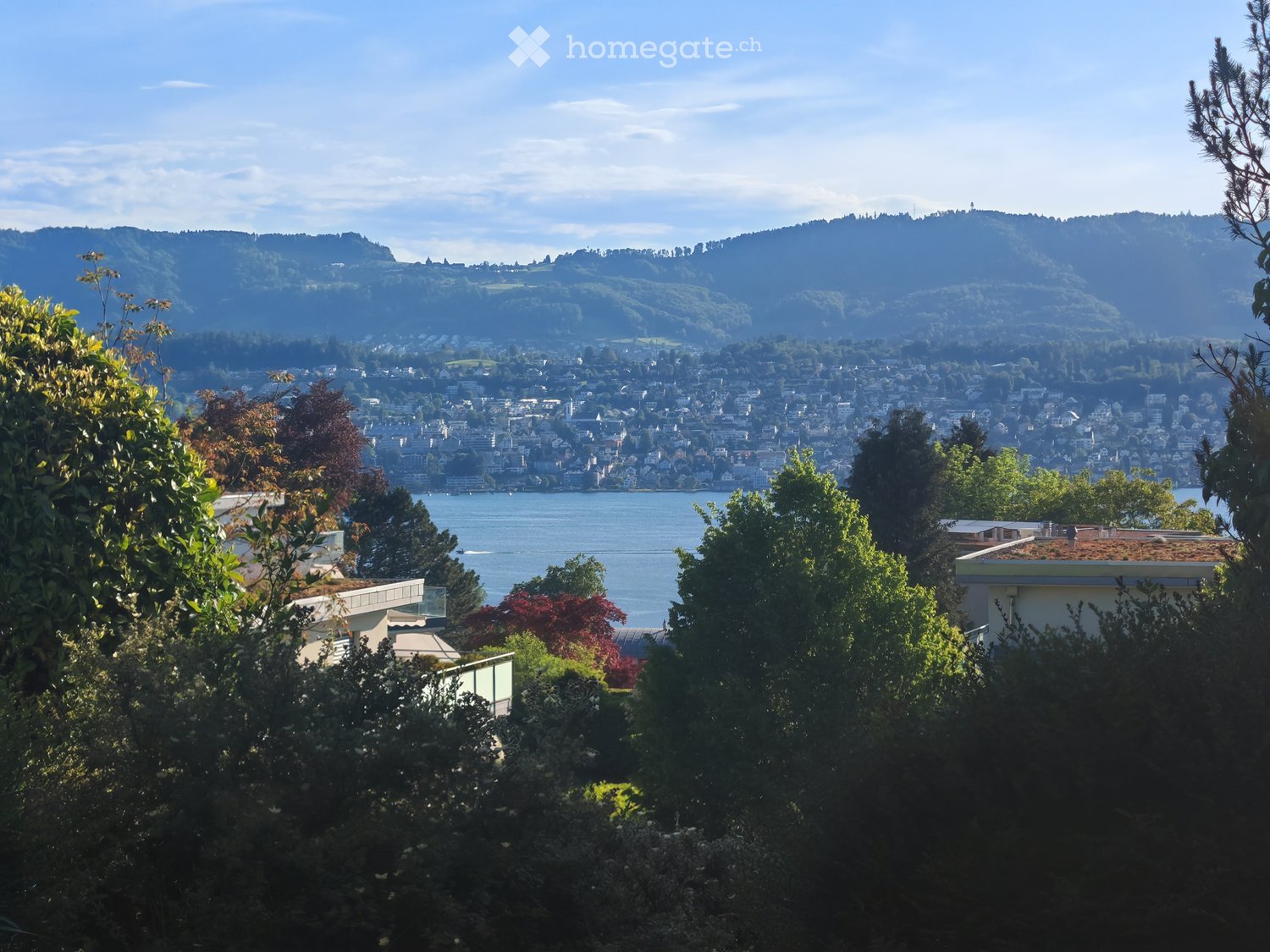A scenic view of a cityscape across a lake, with hills and trees in the foreground and background.