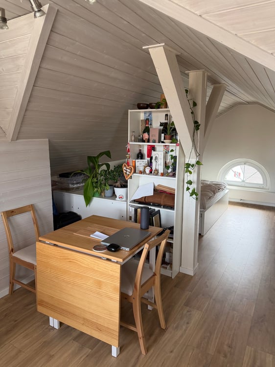 Nachmieter gesucht 1.5-Zimmer-Dachwohnung mit Terrasse 5
