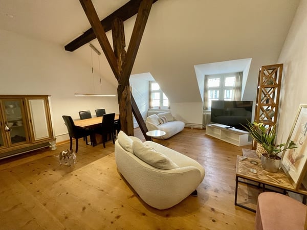 Furnished short-term rental, ideal for Novartis/Roche newcomers 5
