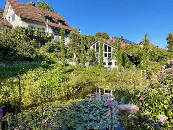 Charmante 2.5-Zimmer-Wohnung in Marthalen – ruhig, sonnig und ab September 2026 verfügbar 12