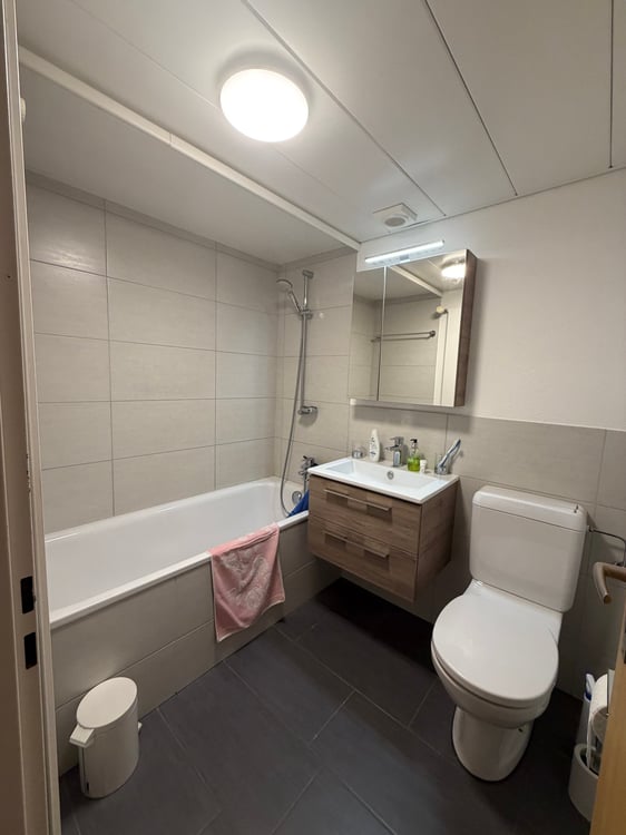 2.5-Zimmer-Wohnung im Bergliquartier 5