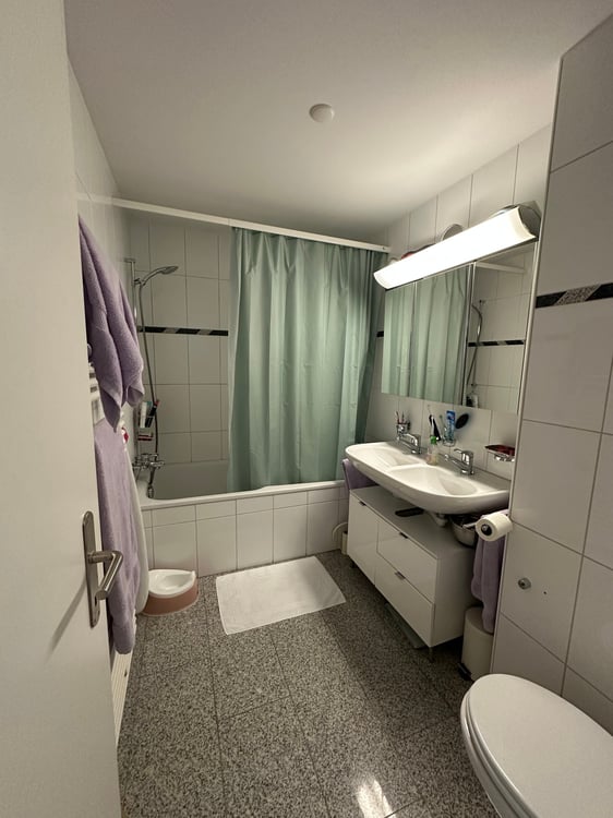 Helle 3.5-Zimmerwohnung mit offener Küche und sehr grosser Terrasse in ruhiger Umgebung 5