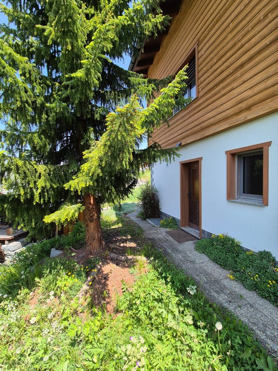 Möbliertes 1.5-Zimmer-Apartment in Grächen 5