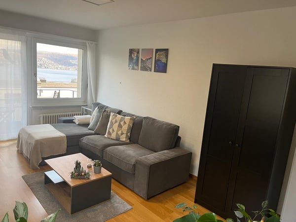 Charmante 2.5-Zimmer-Wohnung mit traumhaftem Ausblick in Kilchberg ZH 4