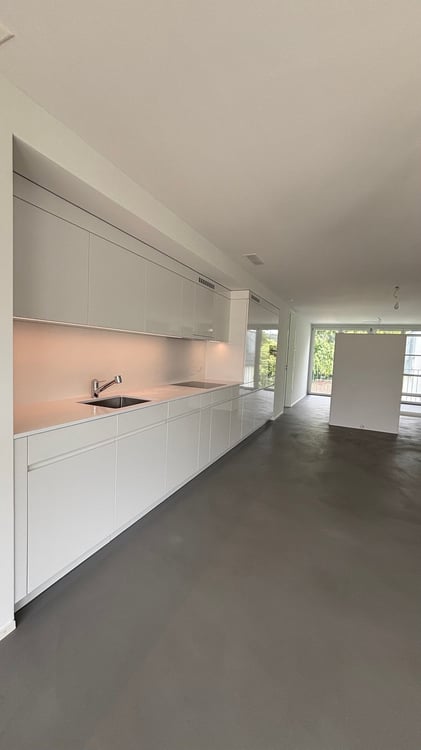 Moderne 4.5-Zimmer-Wohnung mit Balkon und schöner Aussicht in Winterthur 4