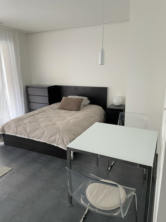Luxury studio fully furnished in the heart of Zürich 2