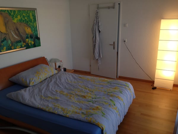Möbliertes Zimmer in Attikawohnung 4